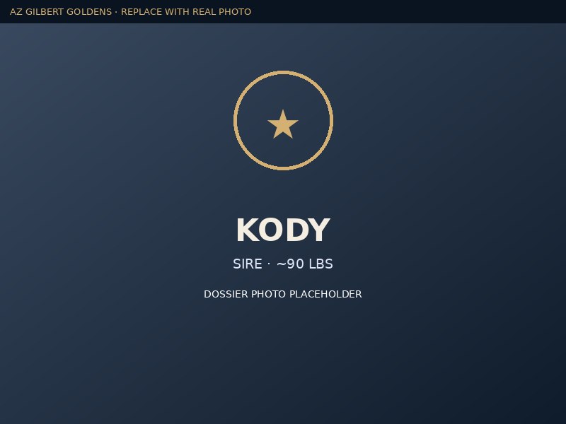 Kody